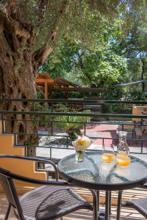 Wilde Rose Hotel 达西亚 外观 照片