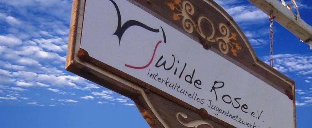 Wilde Rose Hotel 达西亚 外观 照片